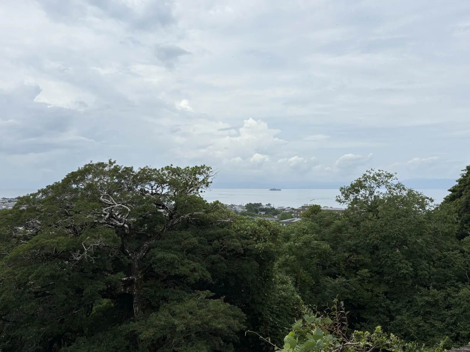 木々越しの琵琶湖