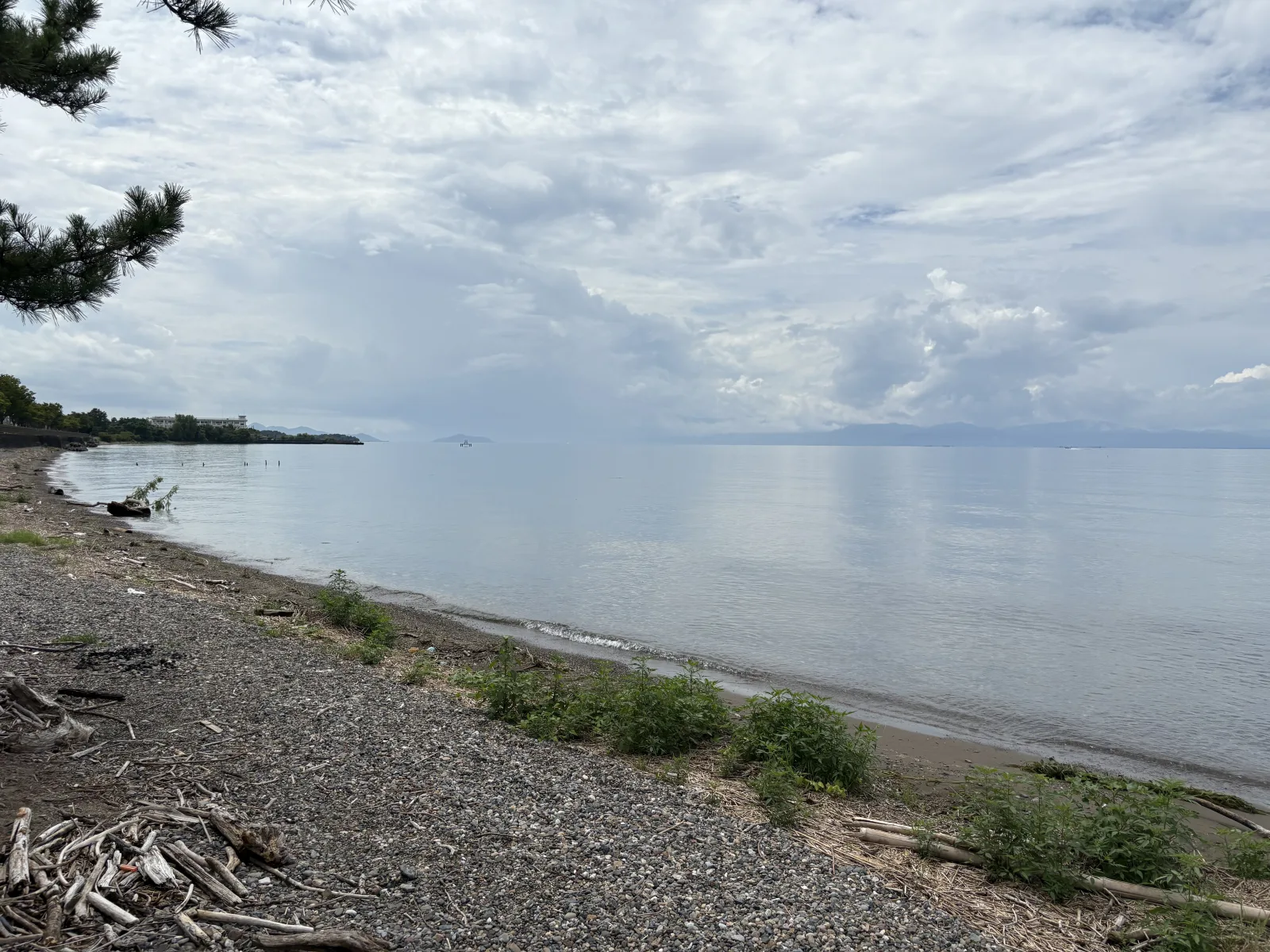 琵琶湖の湖岸